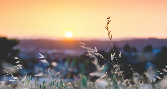 Cowan Coaching - Lessons Learned