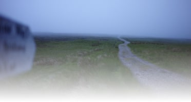 Cowan Coaching - Navigating the Fog