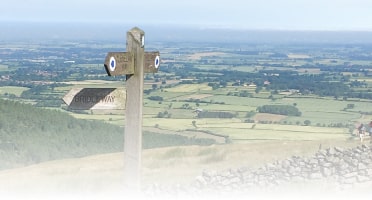 Coaching at a Crossroads